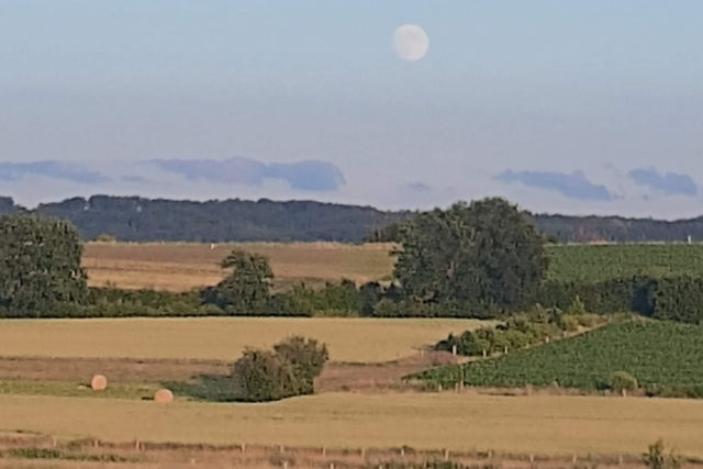 Arlon e Nossa Senhora da Conceição