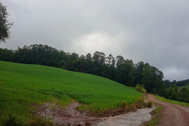 Água