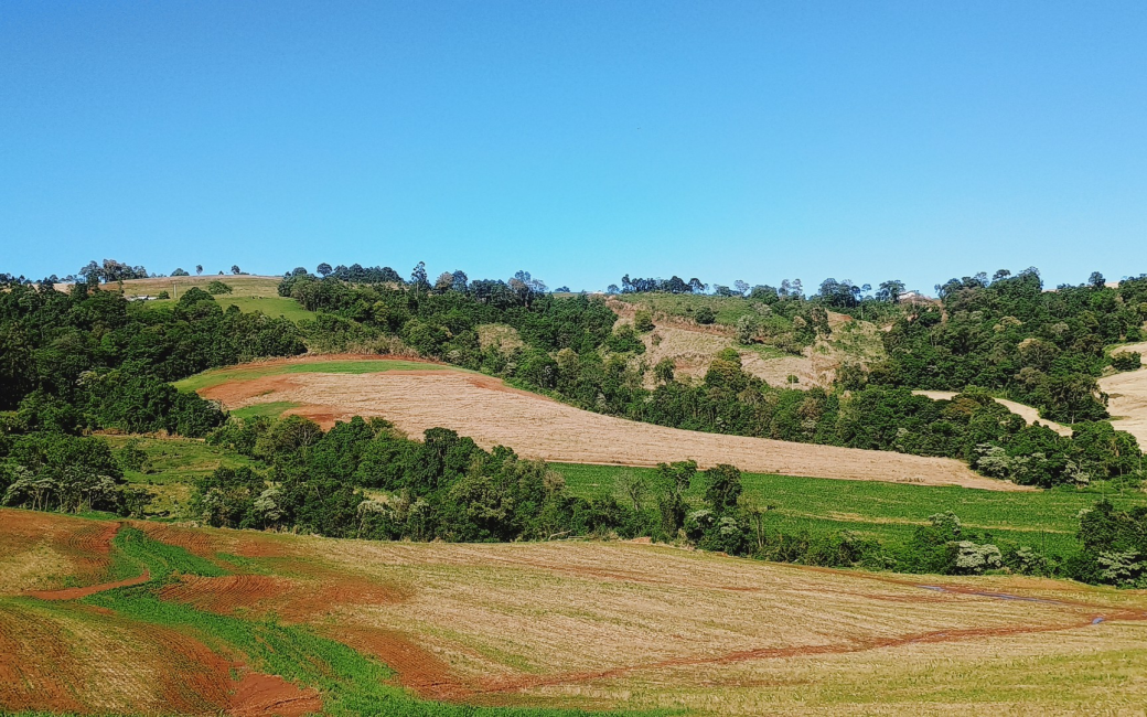 Bolichos, cantinas e bodegas