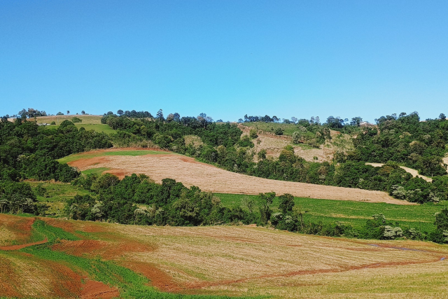 Bolichos, cantinas e bodegas