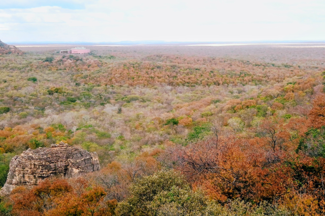 Serra da Capivara